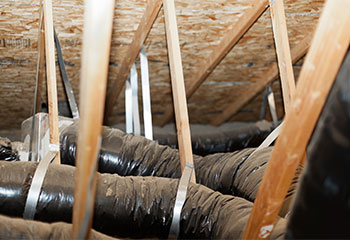 Crawl Space Cleaning | Attic Cleaning Alameda, CA