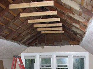 Signs Your Home Has A Mold Problem | Attic Cleaning Alameda, CA Signs Your Home Has A Mold Problem | Attic Cleaning Alameda, CA